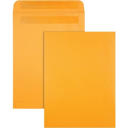 QUALITY PARK Envelope, Catalog, Kraft, 9X12 Pk QUA43563